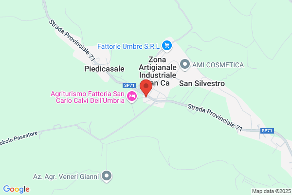 Morelli angelo