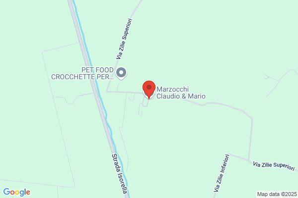 Marzocchi Claudio E Mario