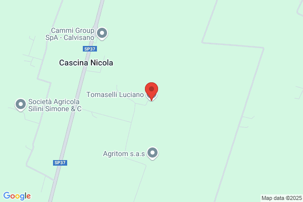 Tomaselli Sergio E Giambattista S.S.