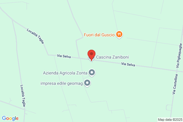 Zaniboni alberto