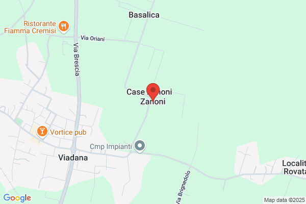 Zanoni domenico