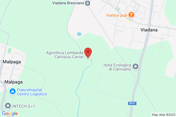 Agro Ittica Lombarda Spa