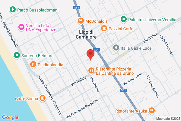 Isituto Mmagistrale Galileo Chini