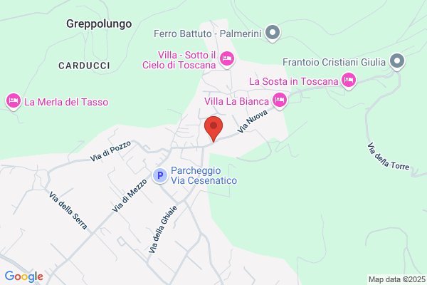 Pardini gian Piero