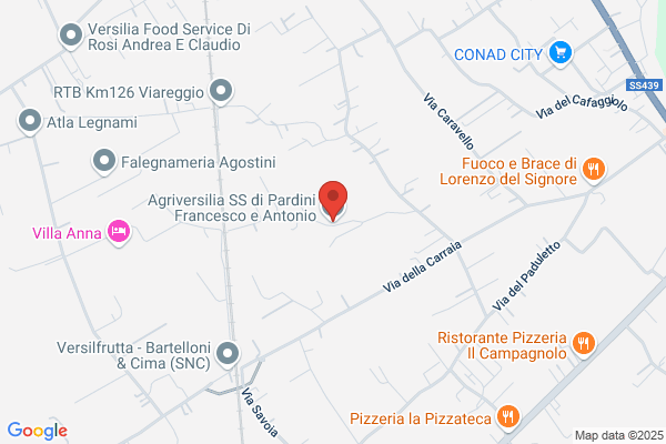 Versildolce Di Pardini Ferdinando