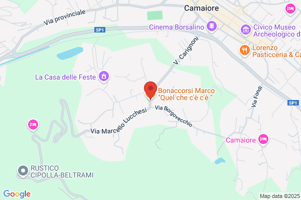 Il Vecchio Coccio Di Baldaccini Laura