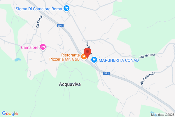 Magnani & Purini