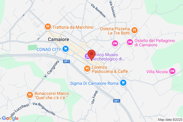 Partito Democratico Della Sinistra