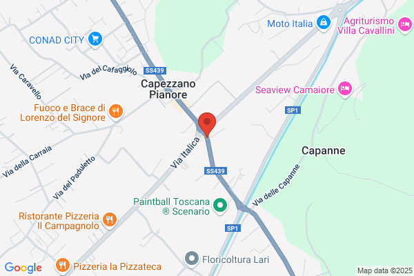 Polloni fabrizia