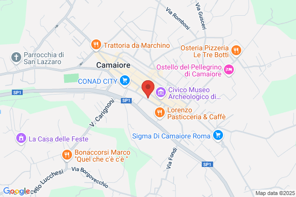 Vigili Provinciali