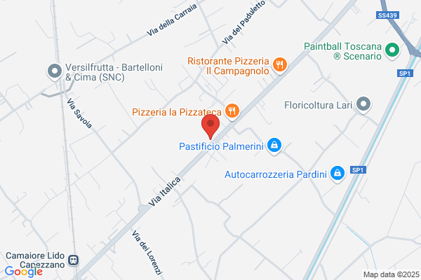 Pizzeria Pizza & Go