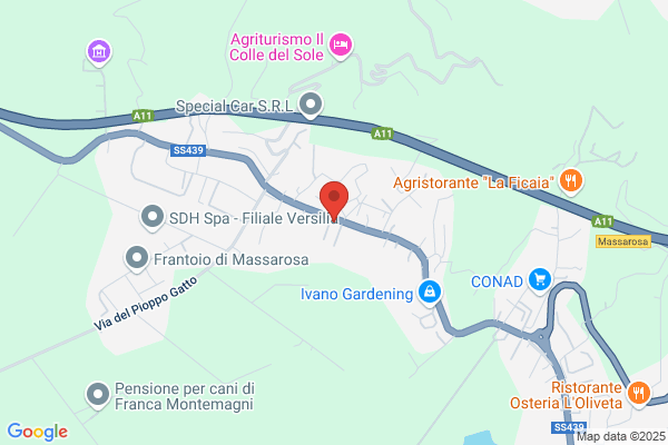 Estetica Futura