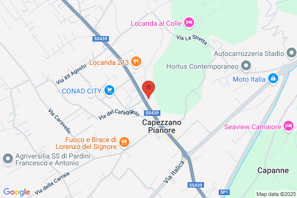 Misericordia Di Capezzano Pianore