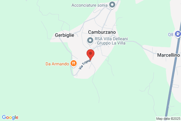 Tosi maurizio