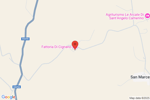 Agriturismo Fattoria di Cignano