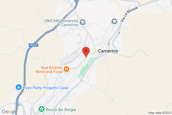 Zucconi Galli Fonseca corrado (Avv.)