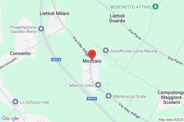 Mozzato andrea