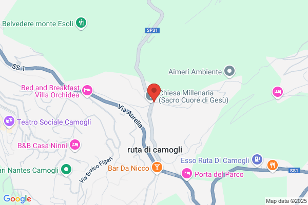 Falegnameria La Coda Di Rondine S.N.C