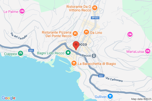 G.Bozzo Pietre Recco Porfidi e Pietre