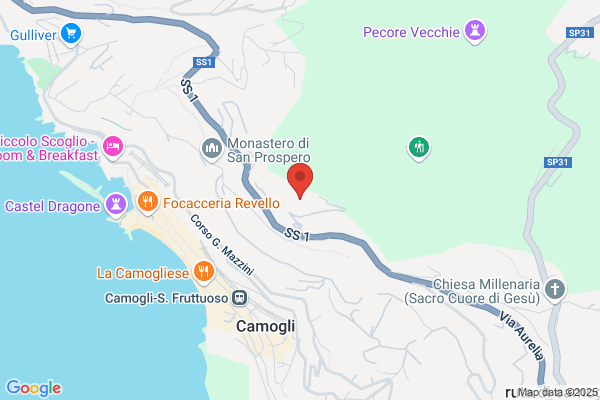 Istituto Cardiovascolare Camogli Casa di Cura Privata (con Accreditazione)