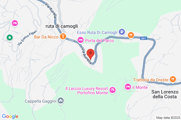 Pubblica Assistenza
