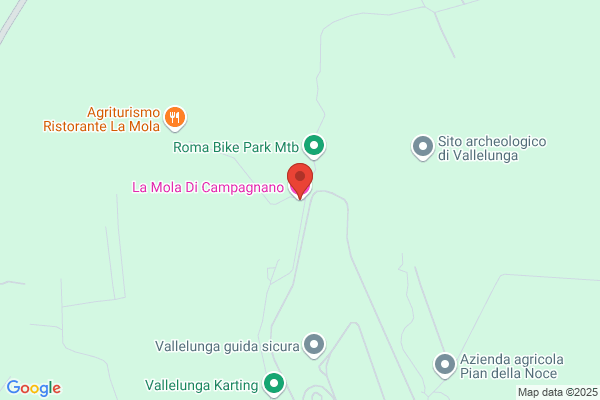 Domenica Ciufolini