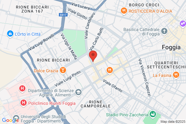 Il Fiorivendolo Di Cardarilli Orietta