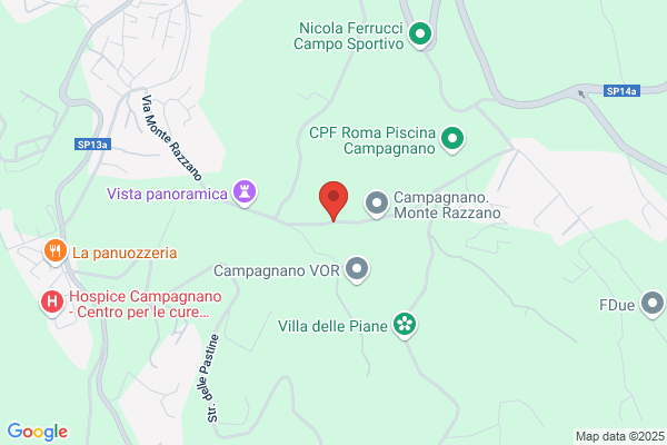 Vannicola mario