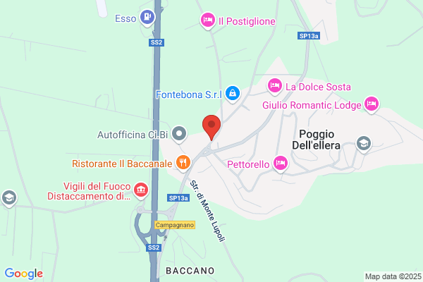 Vivai Riuniti Di Roma S.P.A.
