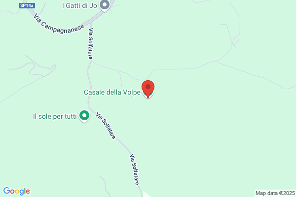 Volpe franca