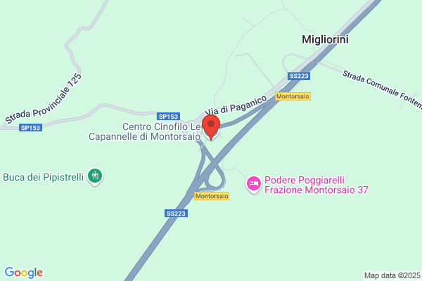 Centro Cinofilo Le Capannelle di Montorsaio