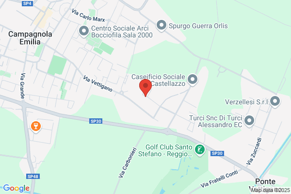 Forest Srl