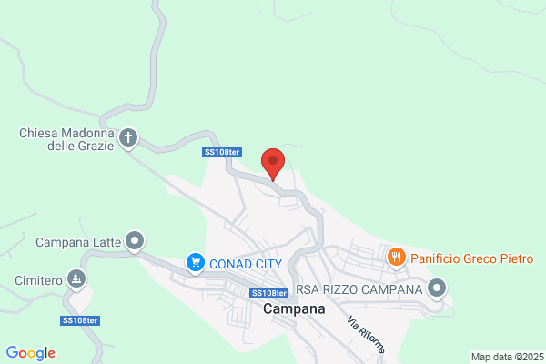 Chiodo Angelo Lavorazione Funghi Sas