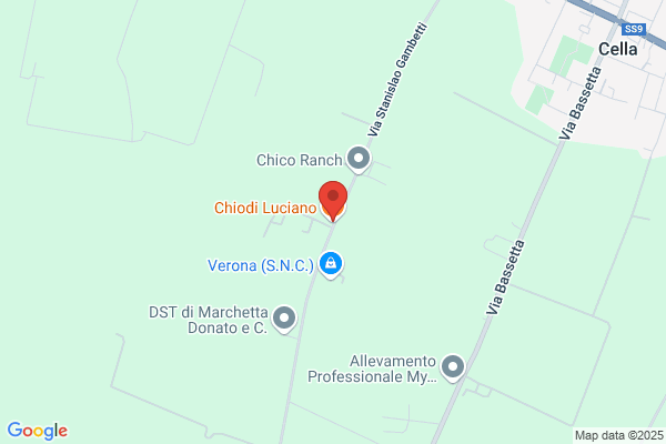 Gelateria Artigianale Chiodi Luciano