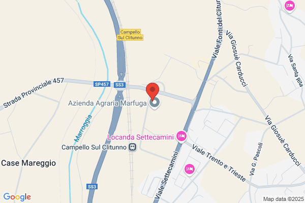S.C.M. Societa Costruzioni Metalliche
