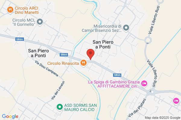 Vinelli Romanazzi lucia