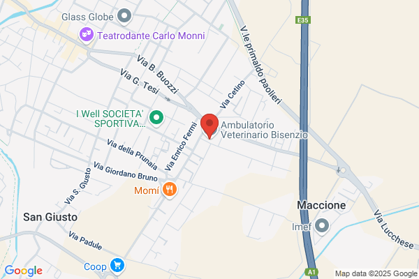 St. Ass. Ambulatorio Veterinario Bisenzio