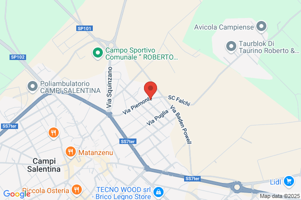 Regione Puglia Centro Serv Centr.