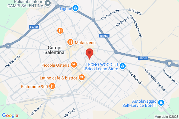 Schiavone antonio (Geom.)