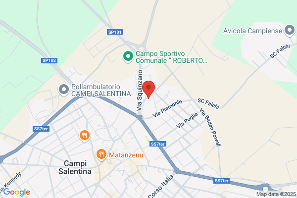 Schiavone roberto