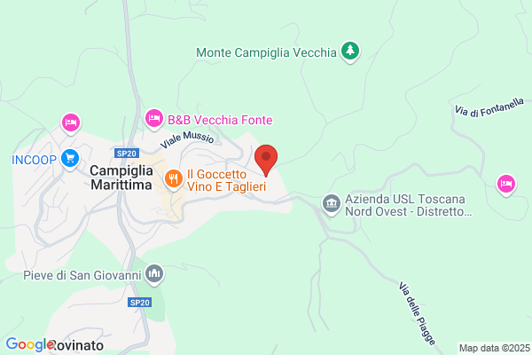 Monelli paride