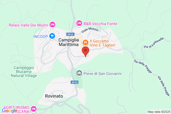 Azienda Agricola - Frantoio Bianchi