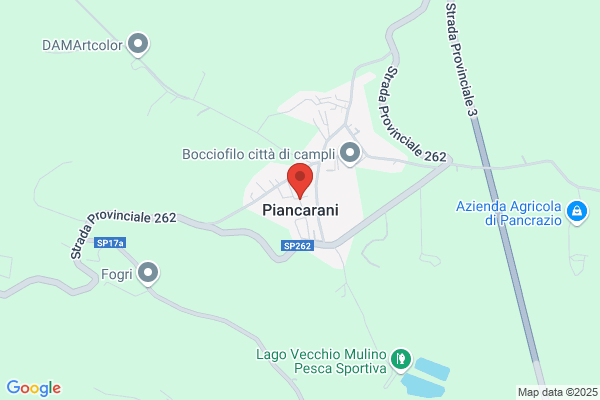 Mariani paterniano