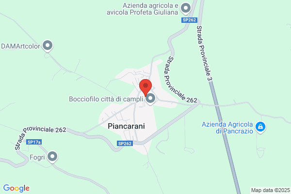 Palandrani francesco