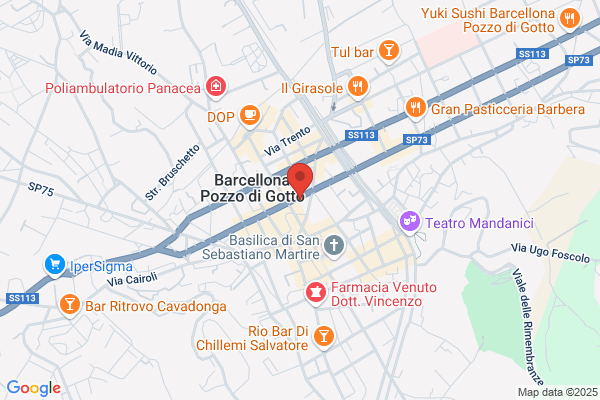 Partito Democratico Della Sinistra