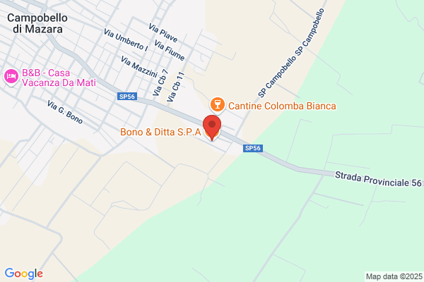 Bono & Ditta Spa