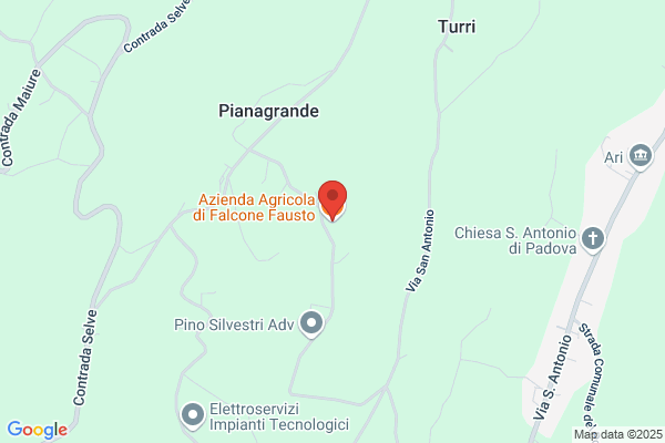Falcone Vinicola Di Falcone Francesco (S.A.S.)