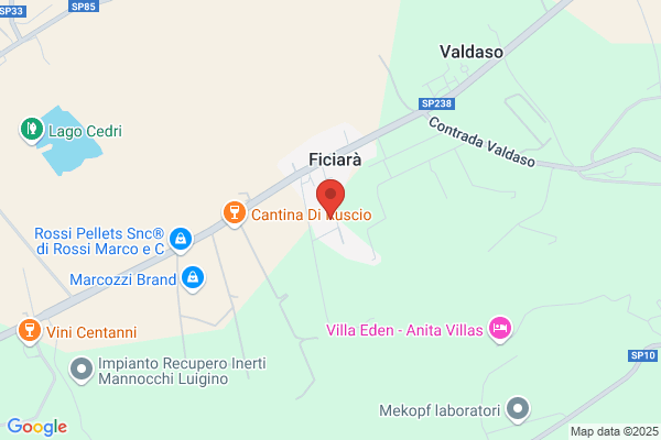 La Campofilone Di Rossi Enzo