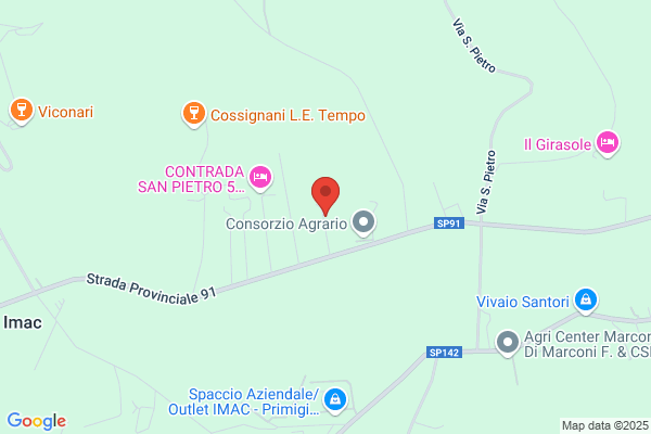 Maranesi michele