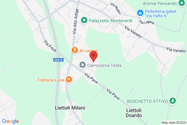 N.T.G. Lavorazione e taglio pelli